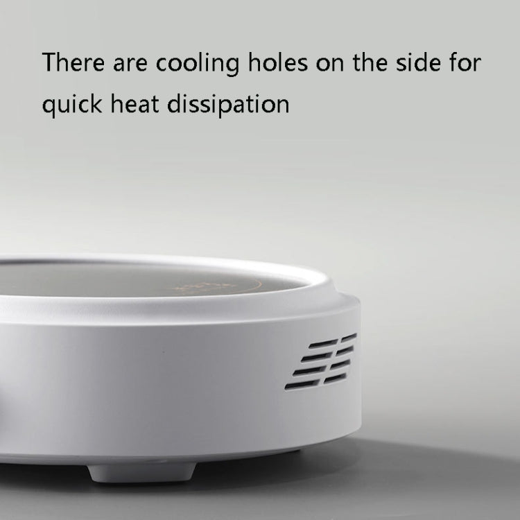 Mini Small Electrical Ceramic Stove Tea Cooker Induction Cooker, CN Plug(Black) by bashfashion