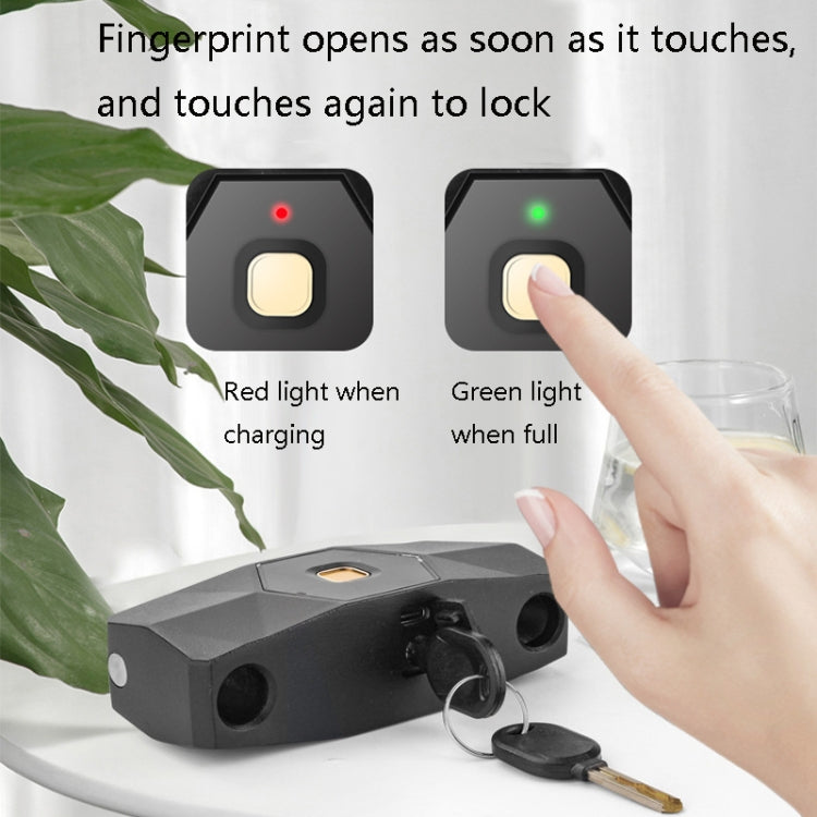 Smart Bluetooth Fingerprint U-Shaped Glass Door Lock Anti-Shear Anti-Theft Lock Extended Outdoor Waterproof U-Shaped Lock, Specification: U2 (Key Password + APP + Key) by bashfashion