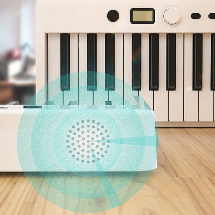 Wersi 88-Key Foldable Portable Electronic Piano Keyboard For Beginners Practice Piano, USB(Black) by bashfashion