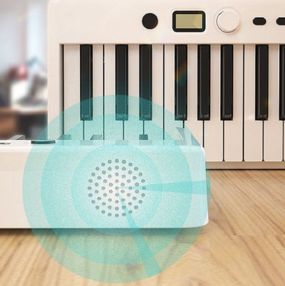 Wersi 88-Key Foldable Portable Electronic Piano Keyboard For Beginners Practice Piano, USB(Black) by bashfashion