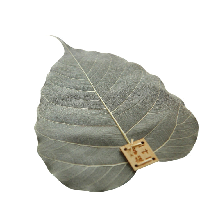 Creative Personality Natural Bodhi Leaf Filter Tea Leak, Specification:Bodhi Leaf by bashfashion