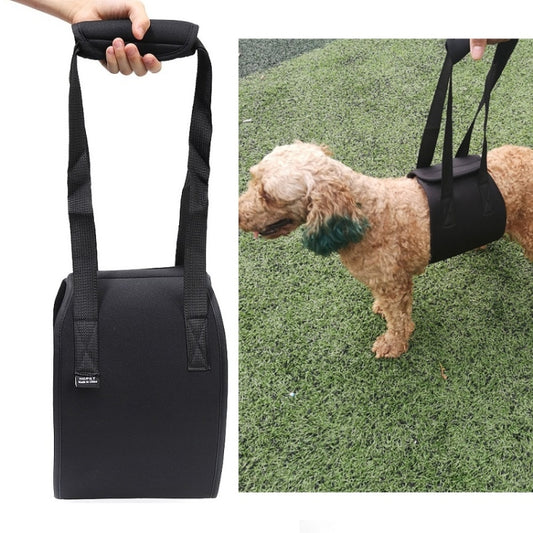 HCPET F1905 Disabled Dogs Assistive Belts Elderly Dogs Walking Assisted Leashes Pet Supplies, Size: M(Black) by bashfashion