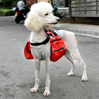 Pet Chest Backpack Multifunctional Outdoor Detachable Backpack For Dogs with Leash, Specification: L(Red) by bashfashion