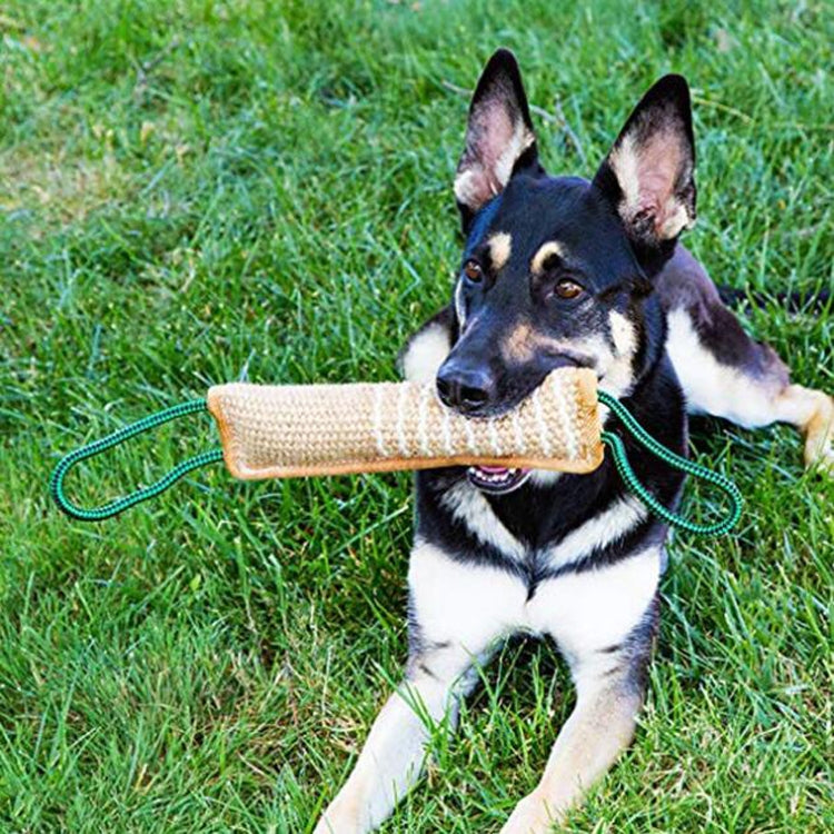 Dog Training Hemp Bite Stick Dog Bite Stick Dog Training Supplies(A1) by bashfashion
