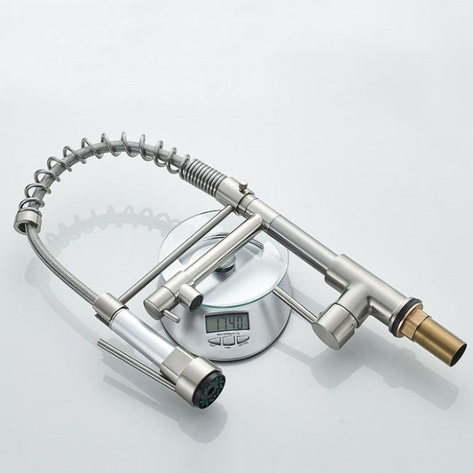 Copper And Nickel Brushed Double Outlet Spring Faucet Rotatable Kitchen Hot And Cold Water Faucet, Specification: Brushed by DWL