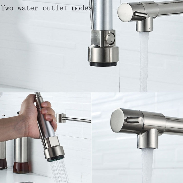 Copper And Nickel Brushed Double Outlet Spring Faucet Rotatable Kitchen Hot And Cold Water Faucet, Specification: Brushed by DWL