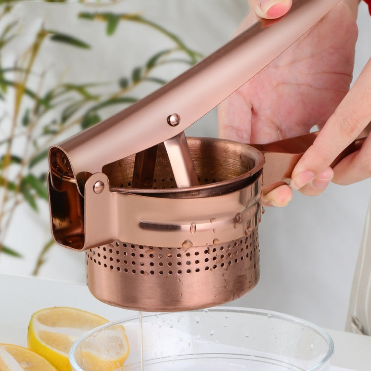 Stainless Steel Manual Juicer Detachable Juicer Commercial Large Capacity Fruit Juicer Golden by bashfashion