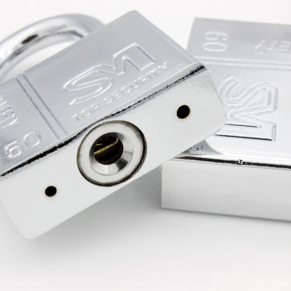 Square Blade Imitation Stainless Steel Padlock, Specification: Short 50mm Open by bashfashion