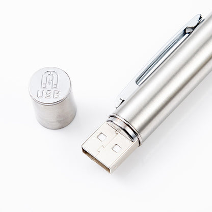 Woods Lamp Cat Moss Detection Lamp Cat Urine Blackhead 365UV Black Mirror Ultraviolet Fluorescent Agent Money Detector Lamp(Silver) by bashfashion