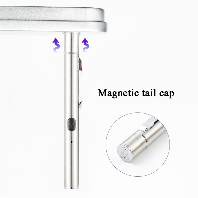 Woods Lamp Cat Moss Detection Lamp Cat Urine Blackhead 365UV Black Mirror Ultraviolet Fluorescent Agent Money Detector Lamp(Silver) by bashfashion