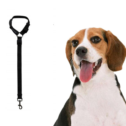 Pet Car Safety Rope Ring Dog Car Seat Belt Rear Seat Traction Rope(Black) by bashfashion