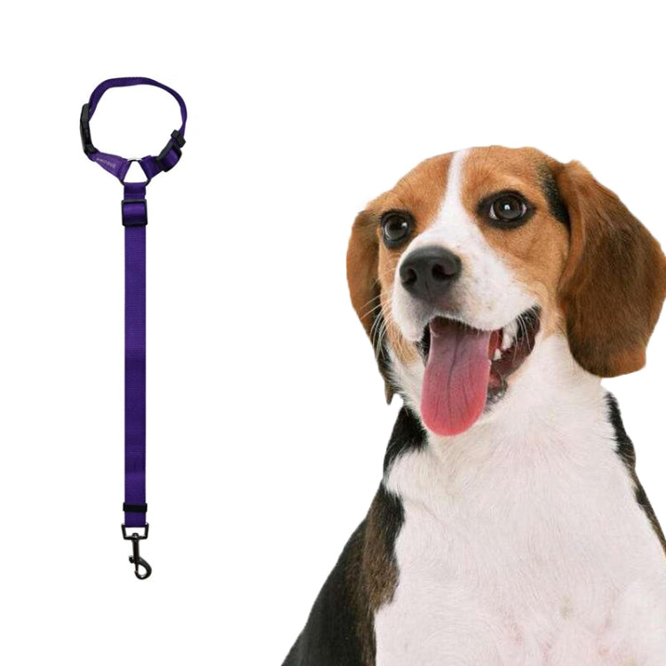 Pet Car Safety Rope Ring Dog Car Seat Belt Rear Seat Traction Rope(Purple) by bashfashion