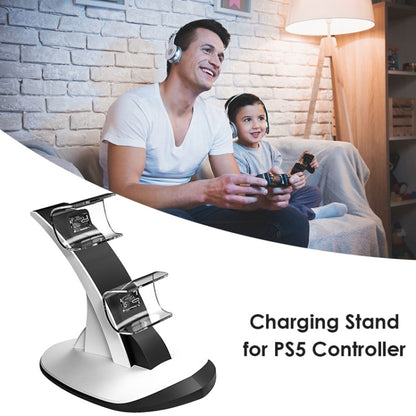 IPLAY HBP-314 Wireless Bluetooth Handle Two-Seater Charger For PS5(White) by IPLAY