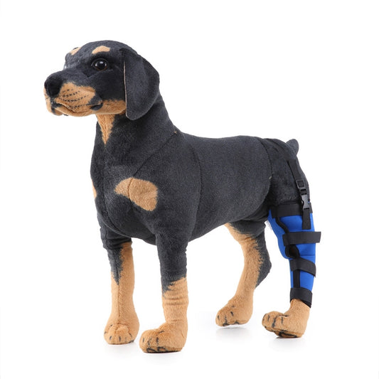 HJ19 Pet Surgery Rehabilitation Back Leg Protector Walking Aids, Size: XS(Blue Left Back Leg) by bashfashion