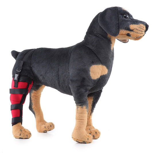 HJ19 Pet Surgery Rehabilitation Back Leg Protector Walking Aids, Size: M(Red Right Back Leg) by bashfashion