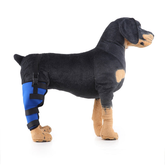 HJ19 Pet Surgery Rehabilitation Back Leg Protector Walking Aids, Size: M(Blue Right Back Leg) by bashfashion