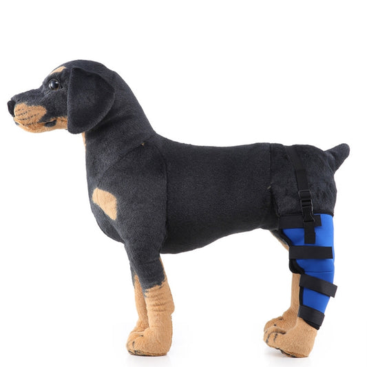 HJ19 Pet Surgery Rehabilitation Back Leg Protector Walking Aids, Size: L(Blue Left Back Leg) by bashfashion