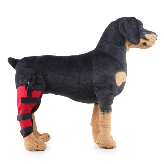 HJ19 Pet Surgery Rehabilitation Back Leg Protector Walking Aids, Size: L(Red Right Back Leg) by bashfashion