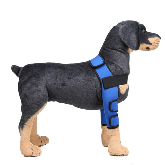 Pet Dog Leg Knee Guard Surgery Injury Protective Cover, Size: M(Classic Model (Blue)) by bashfashion