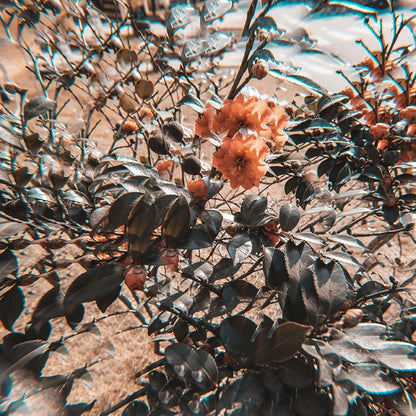 77mm 77mm Kaleidoscope Prism Foreground Blur Camera Glass Filter Lens by bashfashion