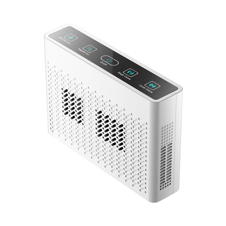 XDCM06 Vehicle Negative Ion Air Purifier(English) by bashfashion
