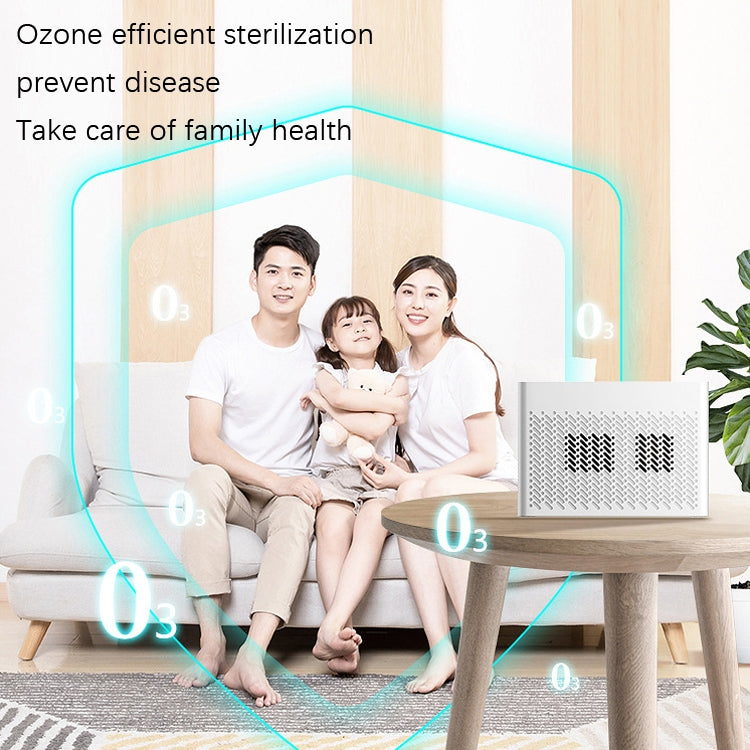 XDCM06 Vehicle Negative Ion Air Purifier(English) by bashfashion