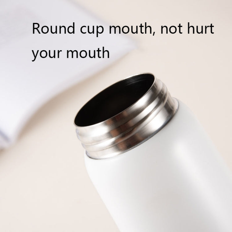 Delicate 304 Stainless Steel Wood Grain Thermos Cup, Capacity: 500ml(Primary Color) by Delicate