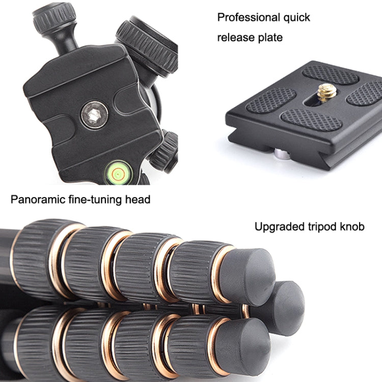 QingZhuangShiDai Q666C Portable Travel Photography Ball Head SLR Camera Carbon Fiber Tripod(Black) by QingZhuangShiDai