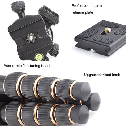 QingZhuangShiDai Q666C Portable Travel Photography Ball Head SLR Camera Carbon Fiber Tripod(Black) by QingZhuangShiDai