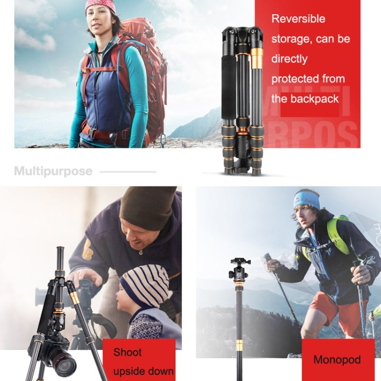 QingZhuangShiDai Q666C Portable Travel Photography Ball Head SLR Camera Carbon Fiber Tripod(Black) by QingZhuangShiDai