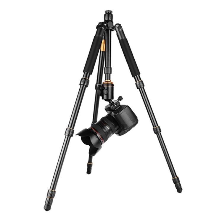 QingZhuangShiDai Q666 Portable Travel SLR Camera Aluminum Magnesium Alloy Tripod(Black) by QingZhuangShiDai