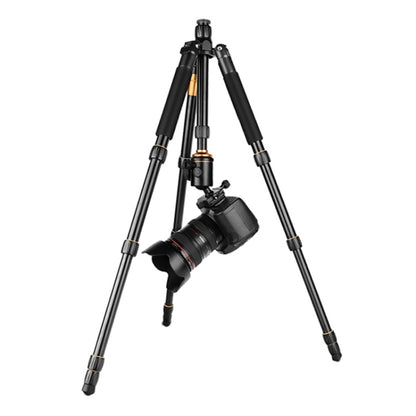 QingZhuangShiDai Q666 Portable Travel SLR Camera Aluminum Magnesium Alloy Tripod(Black) by QingZhuangShiDai