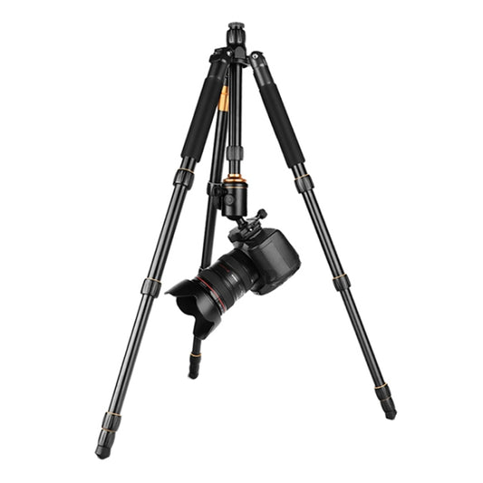 QingZhuangShiDai Q666 Portable Travel SLR Camera Aluminum Magnesium Alloy Tripod(Black) by QingZhuangShiDai