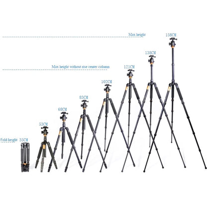 QingZhuangShiDai Q666 Portable Travel SLR Camera Aluminum Magnesium Alloy Tripod(Black) by QingZhuangShiDai