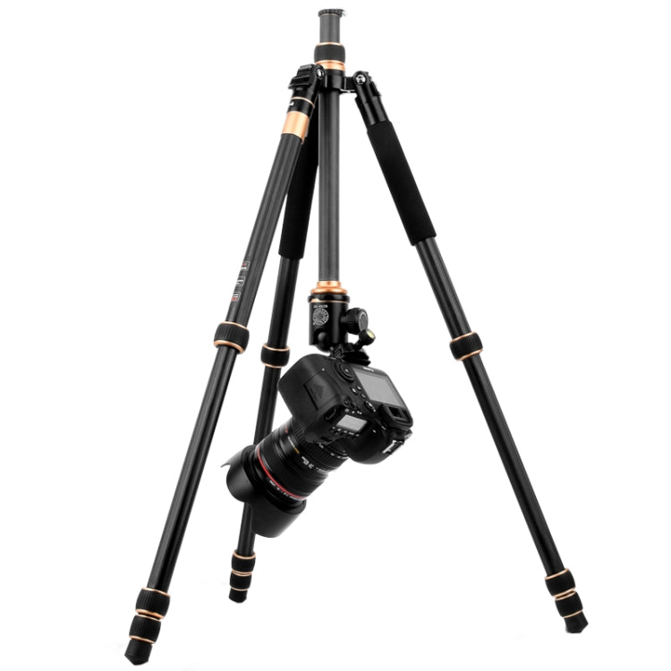 QingZhuangShiDai Q222C SLR Camera Carbon Fiber Portable Travel Tripod(Black) by QingZhuangShiDai