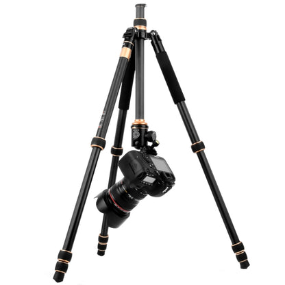 QingZhuangShiDai Q222C SLR Camera Carbon Fiber Portable Travel Tripod(Black) by QingZhuangShiDai