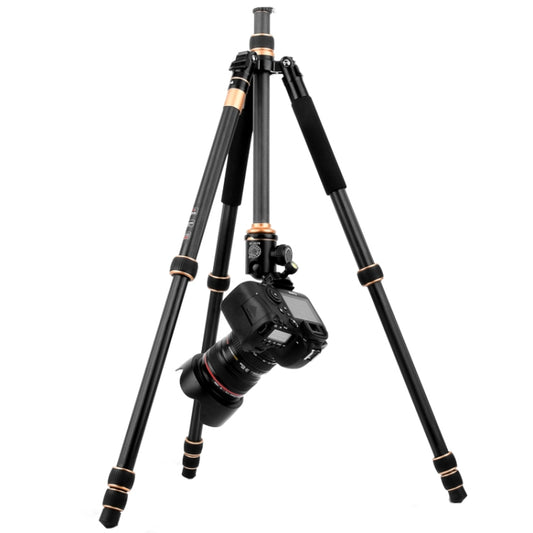 QingZhuangShiDai Q222C SLR Camera Carbon Fiber Portable Travel Tripod(Black) by QingZhuangShiDai