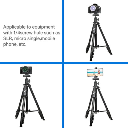 YUNTENG 6109 Camera Overhead Shot Tripod Universal Mobile Phone Live Broadcast Bracket by YUNTENG