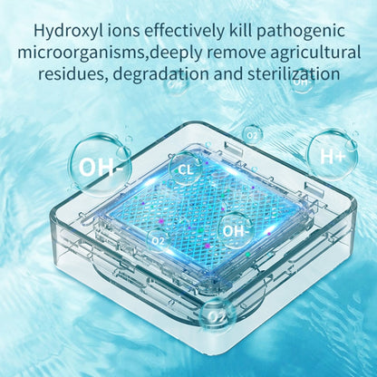 QX03 Home Two Bin Meat And Vegetable Cleaning Machine, US Plug(Neutral Machine) by bashfashion