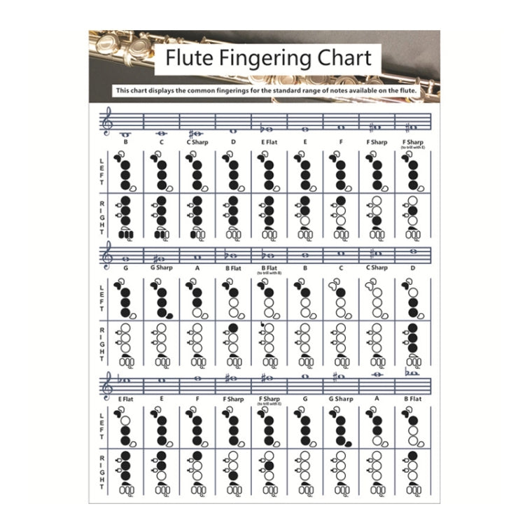 Coated Paper Flute Chord Fingering Practice Chart Staff Chord Fingering(Small) by bashfashion