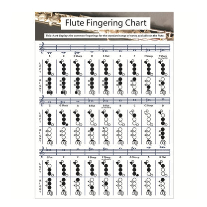 Coated Paper Flute Chord Fingering Practice Chart Staff Chord Fingering(Small) by bashfashion