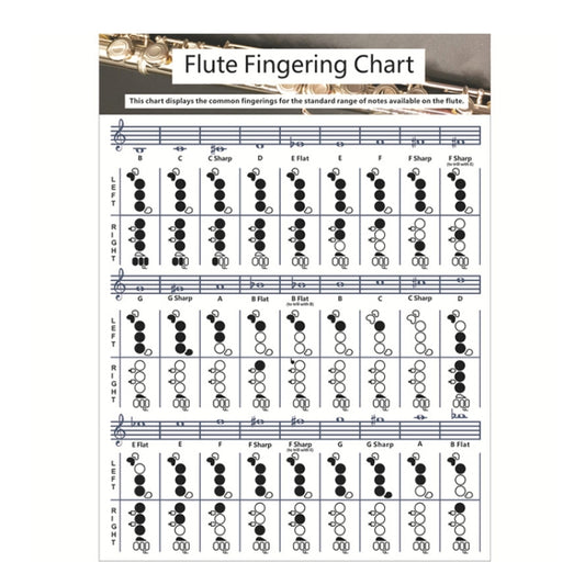 Coated Paper Flute Chord Fingering Practice Chart Staff Chord Fingering(Small) by bashfashion