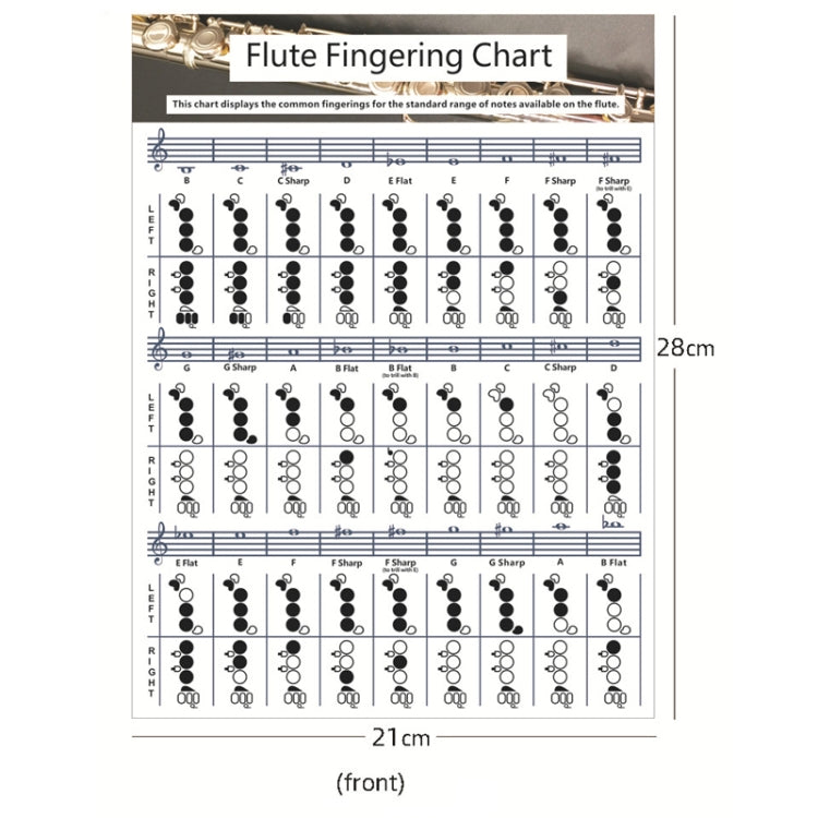 Coated Paper Flute Chord Fingering Practice Chart Staff Chord Fingering(Small) by bashfashion