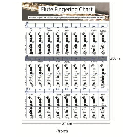 Coated Paper Flute Chord Fingering Practice Chart Staff Chord Fingering(Small) by bashfashion