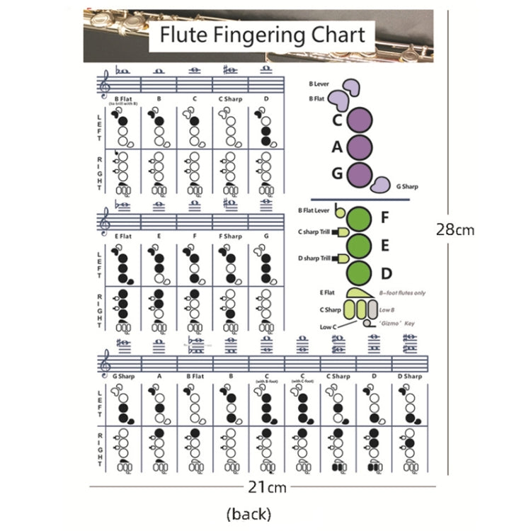 Coated Paper Flute Chord Fingering Practice Chart Staff Chord Fingering(Small) by bashfashion
