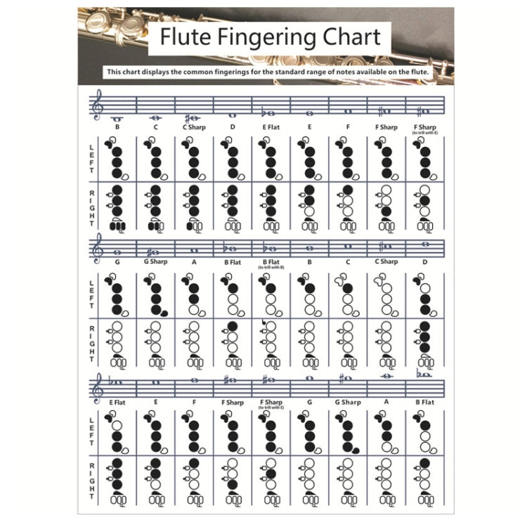 Coated Paper Flute Chord Fingering Practice Chart Staff Chord Fingering(Large) by bashfashion