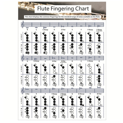 Coated Paper Flute Chord Fingering Practice Chart Staff Chord Fingering(Large) by bashfashion