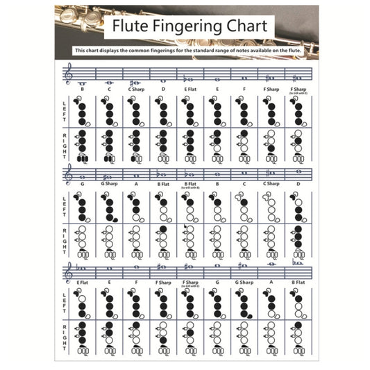Coated Paper Flute Chord Fingering Practice Chart Staff Chord Fingering(Large) by bashfashion
