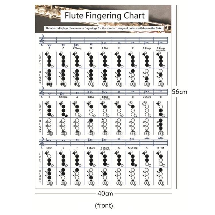 Coated Paper Flute Chord Fingering Practice Chart Staff Chord Fingering(Large) by bashfashion