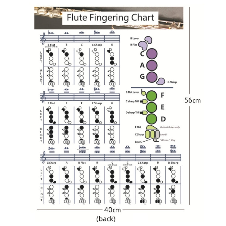 Coated Paper Flute Chord Fingering Practice Chart Staff Chord Fingering(Large) by bashfashion